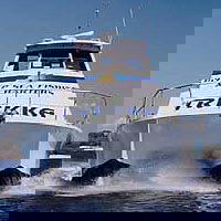 Sunshine Coast Fishing Charters - Accommodation VIC 0