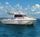 Sunshine Coast Fishing Charters - Accommodation VIC 1