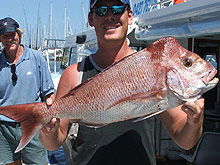 Sunshine Coast Fishing Charters - Accommodation VIC 2