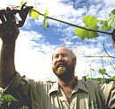 Barossa Experience Tours - Accommodation VIC