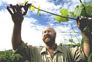 Barossa Experience Tours - Accommodation VIC 0