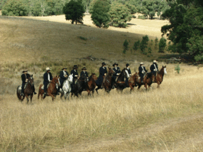 McCormacks Mountain Valley Trail Rides - Accommodation VIC
