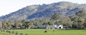 Blue Gum Farm - Accommodation VIC 1