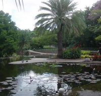 Brisbane City Botanic Gardens - Accommodation VIC