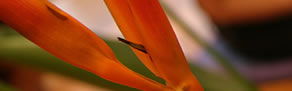 Arncliffe NSW Accommodation VIC