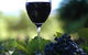 Lion Mill Vineyards - thumb 0