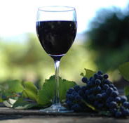 Lion Mill Vineyards - Accommodation VIC