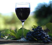 Lion Mill Vineyards - Accommodation VIC 0