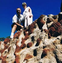 Mystery Craters - Accommodation VIC 2