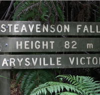 Stevensons Falls - Accommodation VIC