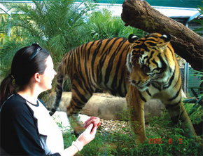 Crocodylus Park - Accommodation VIC 1