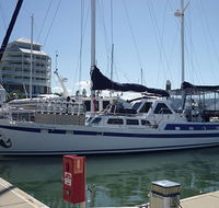 Coral Sea Dreaming Dive and Sail - Accommodation VIC
