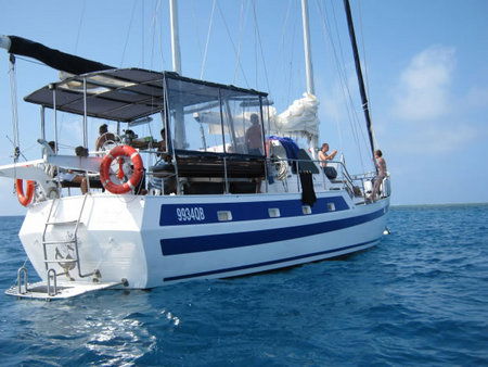 Coral Sea Dreaming Dive And Sail - Accommodation VIC 3