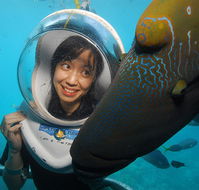 Sunlover Reef Cruises - Accommodation VIC