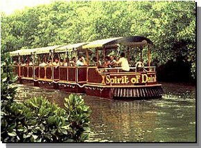 Daintree Rainforest River Trains - Accommodation VIC 0