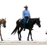 Ride the Beach - Accommodation VIC