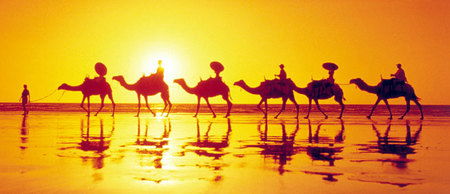 Banksia Adventures - Accommodation VIC 1