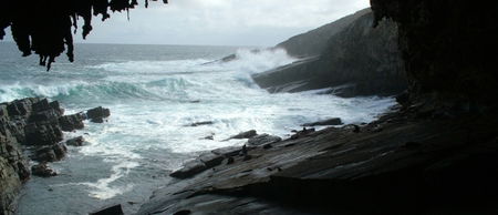 Banksia Adventures - Accommodation VIC 2