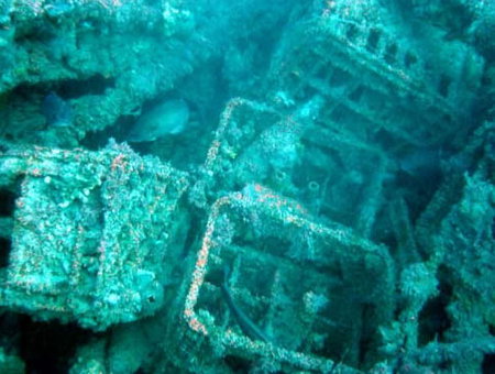 Underwater Sports Diving Centre - Accommodation VIC 0