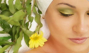 Indica Spa - Accommodation VIC 1