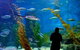 Melbourne Aquarium - thumb 0