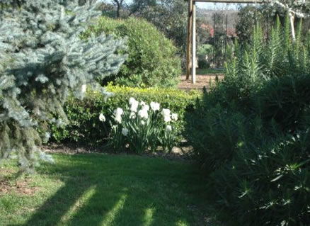 The Old Cheese Factory - Accommodation VIC 2