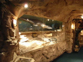 The National Opal Collection - Accommodation VIC 2