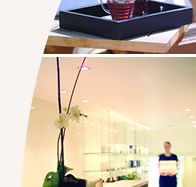 Lyall Hotel and Spa - Accommodation VIC