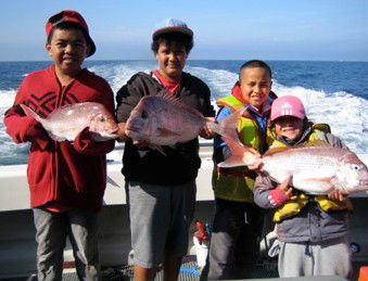 Melbourne Fishing Charters - Accommodation VIC 3