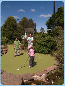 Wheelers Hill VIC Accommodation VIC