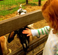 Collingwood Children's Farm - Accommodation VIC