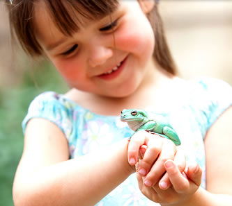 Reptile Encounters - Accommodation VIC 1