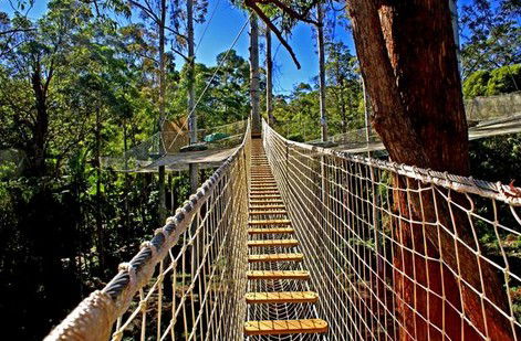 FreemanX Experience - Accommodation VIC 2