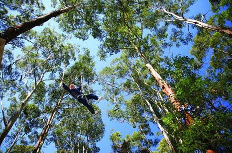 FreemanX Experience - Accommodation VIC 5