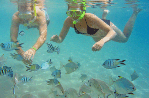 Australian Kayaking Adventures - Accommodation VIC 2