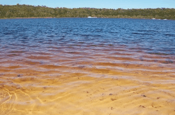 Beach Trekkers North Stradbroke Island - Accommodation VIC 1