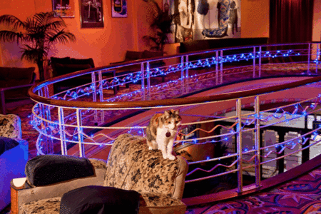 The Astor Theatre - Accommodation VIC 3