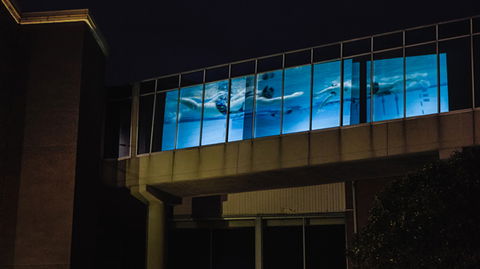 Kingston Arts - Accommodation VIC 8