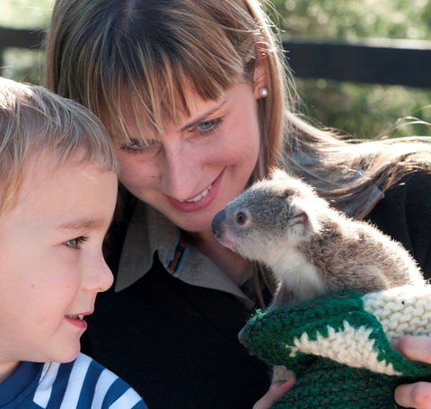Australian Reptile Park - Accommodation VIC 1