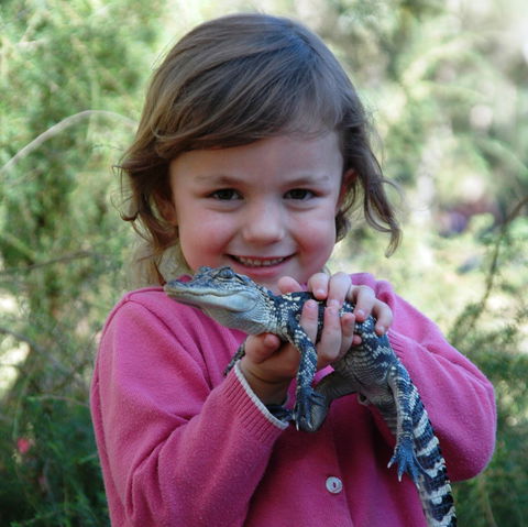 Australian Reptile Park - Accommodation VIC 2