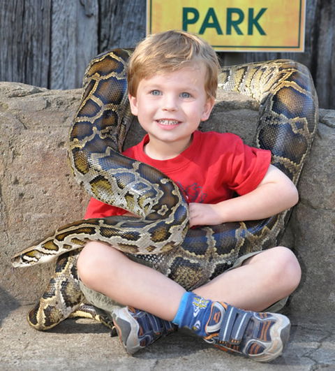 Australian Reptile Park - Accommodation VIC 3