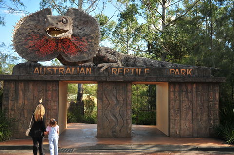 Australian Reptile Park - Accommodation VIC 5