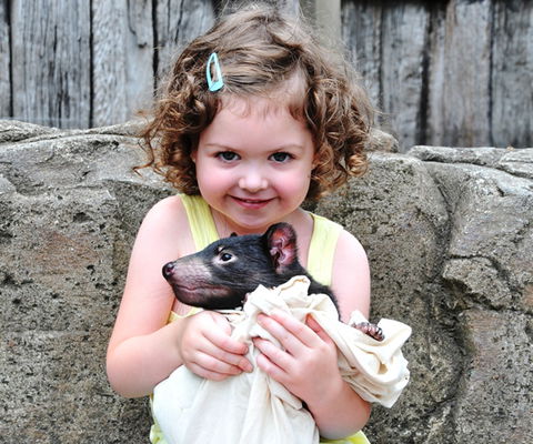 Australian Reptile Park - Accommodation VIC 8