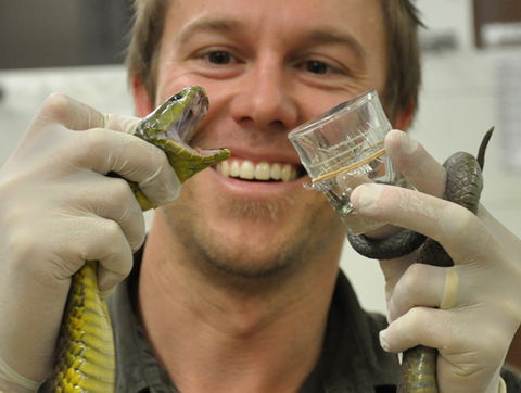 Australian Reptile Park - Accommodation VIC 9