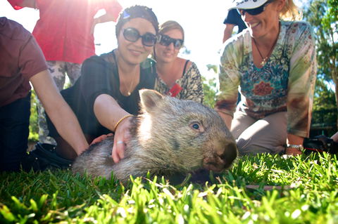 Australian Reptile Park - Accommodation VIC 10