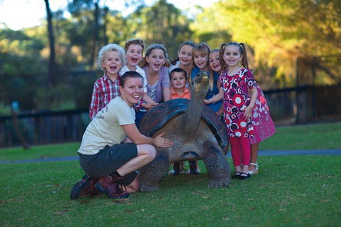 Australian Reptile Park - Accommodation VIC 11