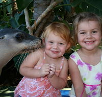 Dolphin Marine Magic - Accommodation VIC