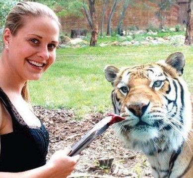 National Zoo & Aquarium - Accommodation VIC 4