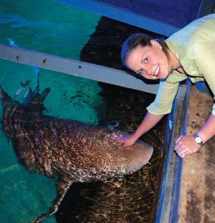 National Zoo & Aquarium - Accommodation VIC 7