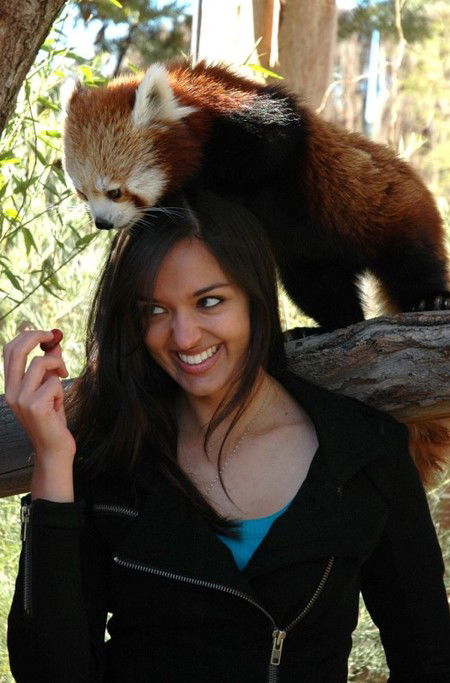 National Zoo & Aquarium - Accommodation VIC 8